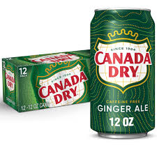 Canada - Dry Ginger Ale Soda Can 355ml x 12 Pack