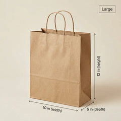 Paper Bag Paper Handle 10pc
