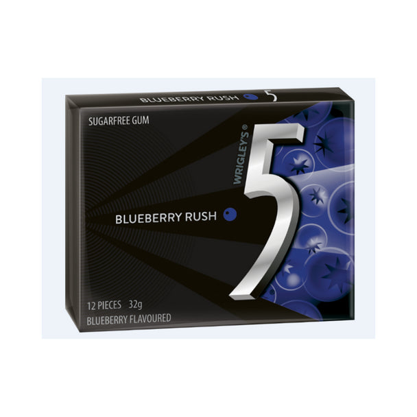 5 GUM BLUEBERRY 32G*10