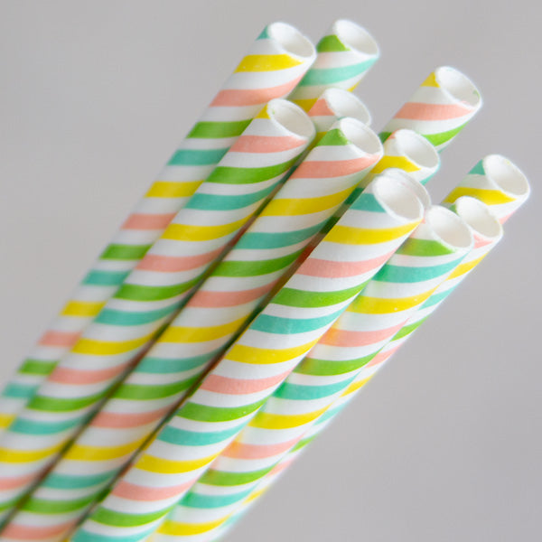 Eco-Straw Regular Paper Straw 6mm Rainbow 2500pcs