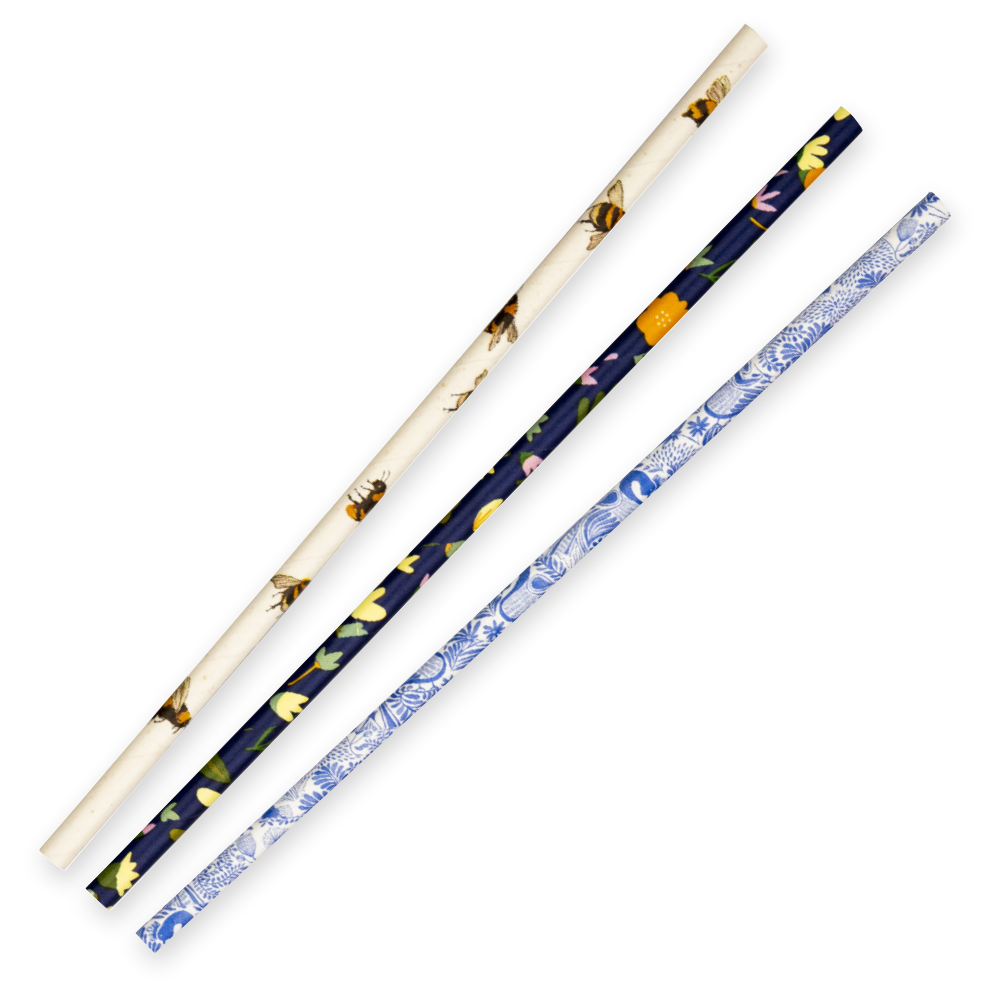 Biopak 6mm Regular Art Series BioStraw 2500pcs