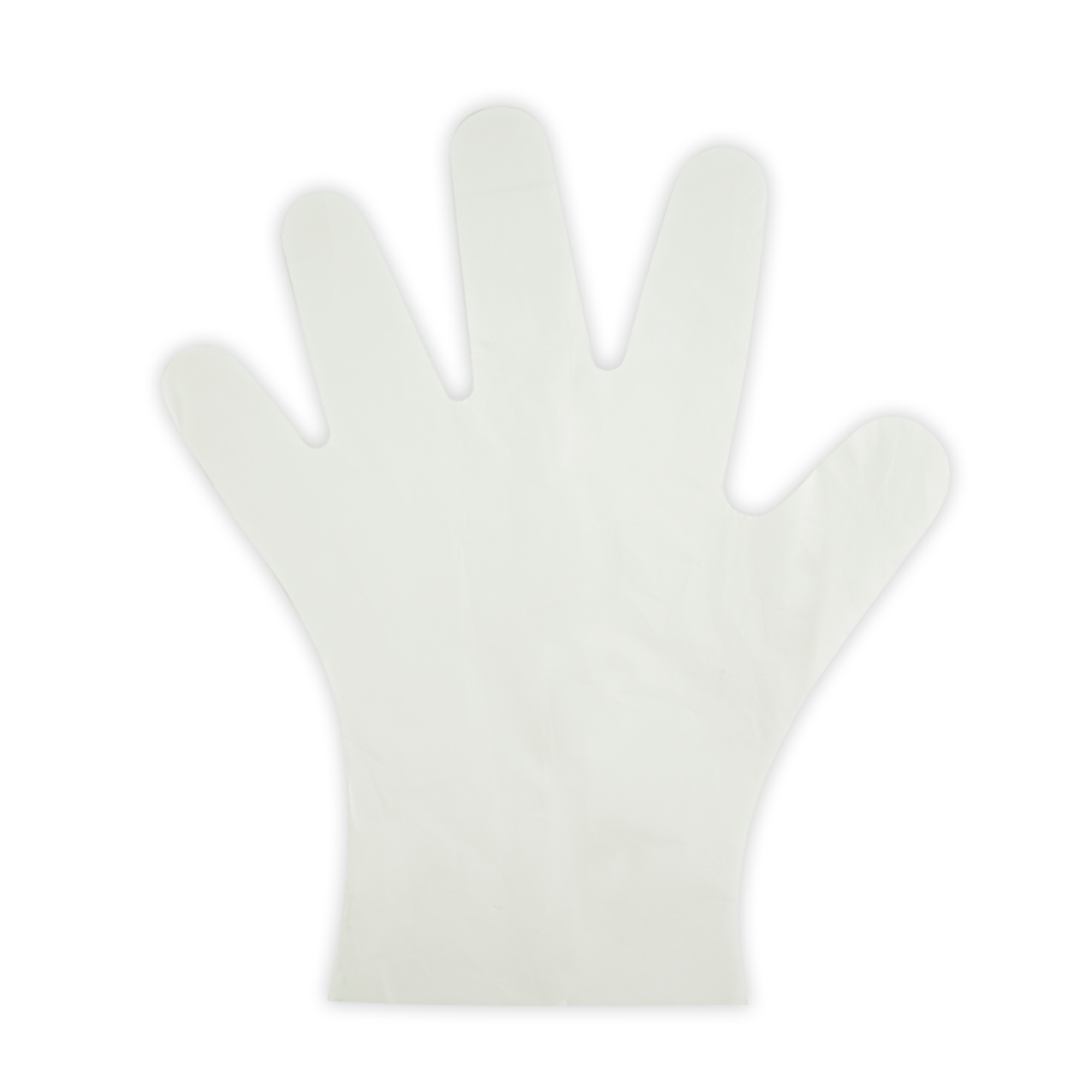 Biopak Compostable Gloves 1000pcs Large