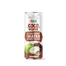 Vinut Coconut Water Chocolate 320ml * 24 Pack