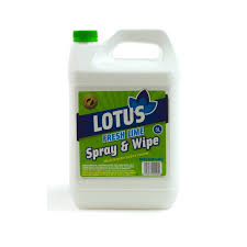 Safe N Clean (Spray & Wipe) 5LT