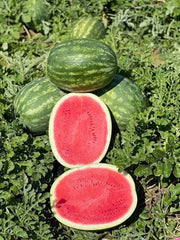Eleanor Melon