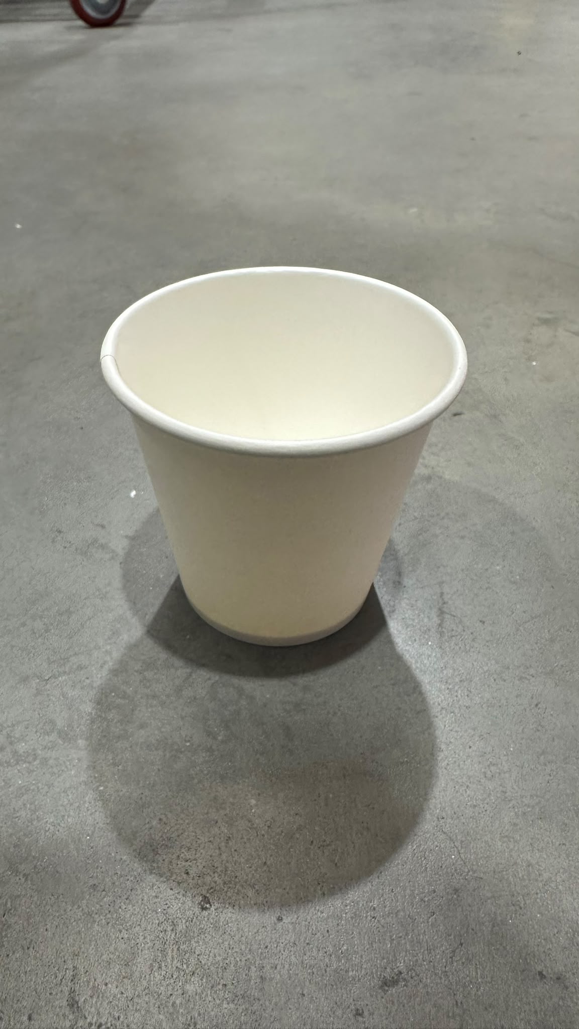 6Swcw Small Cup